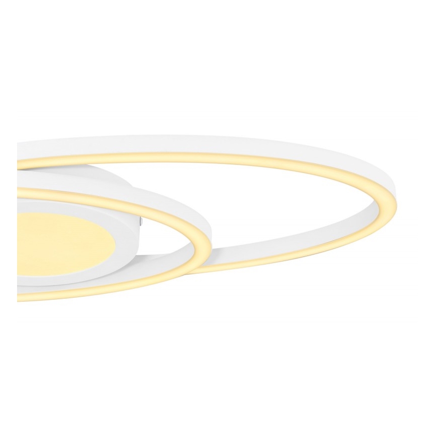 Globo - LED Plafonjera LED/24W/230V