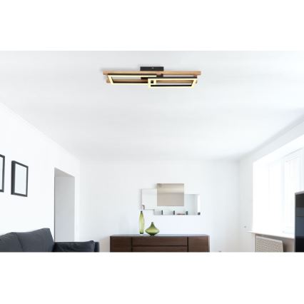 Globo - LED Plafonjera LED/20W/230V