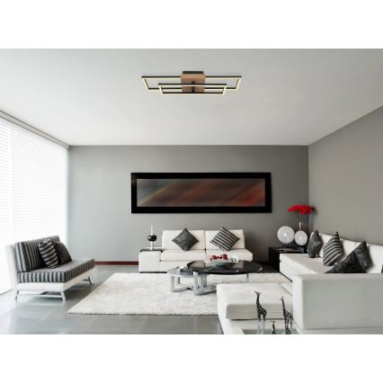 Globo - LED Plafonjera LED/18W/230V