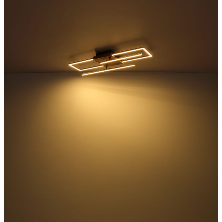 Globo - LED Plafonjera LED/18W/230V