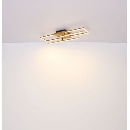 Globo - LED Plafonjera LED/18W/230V