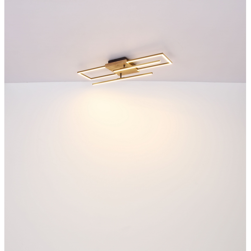Globo - LED Plafonjera LED/18W/230V