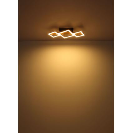 Globo - LED Plafonjera LED/29W/230V