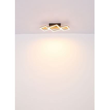 Globo - LED Plafonjera LED/29W/230V
