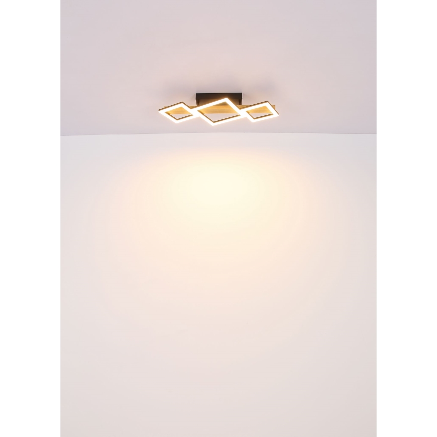 Globo - LED Plafonjera LED/29W/230V