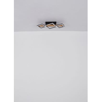 Globo - LED Plafonjera LED/29W/230V