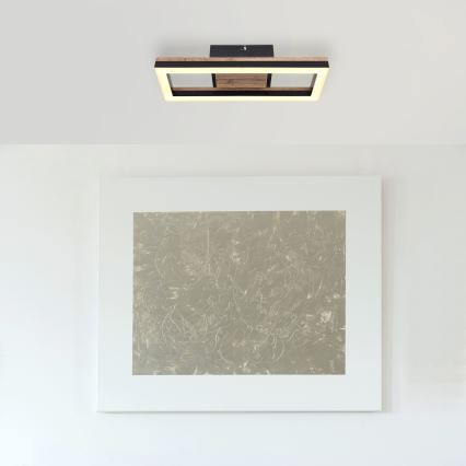 Globo - LED Plafonjera LED/12W/230V