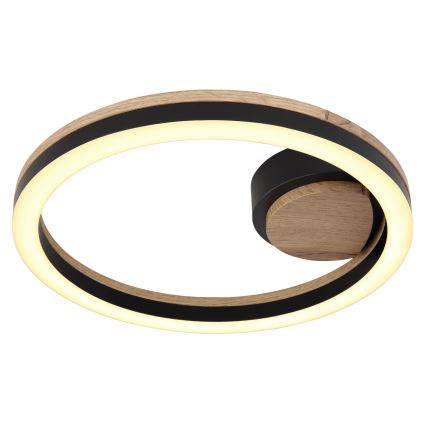 Globo - LED Plafonjera LED/12W/230V