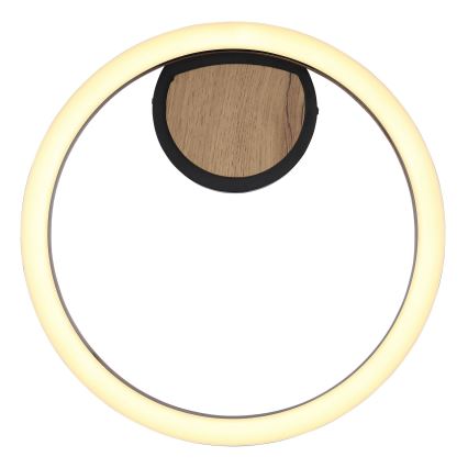 Globo - LED Plafonjera LED/12W/230V