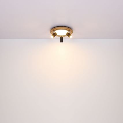 Globo - LED Reflektorska lampa 3xGU10/5W/230V + LED/15W/230V