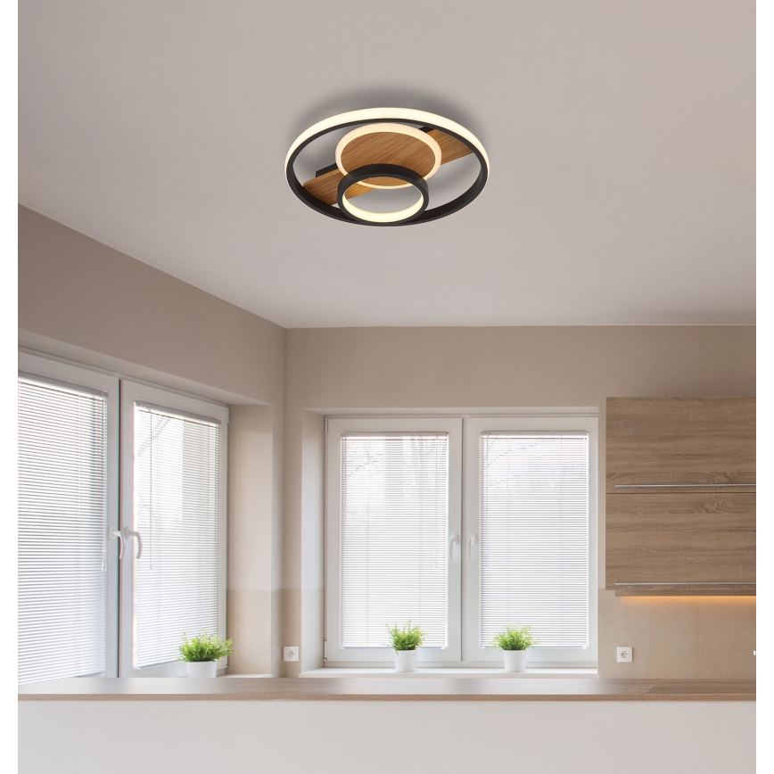 Globo - LED Plafonjera LED/24W/230V