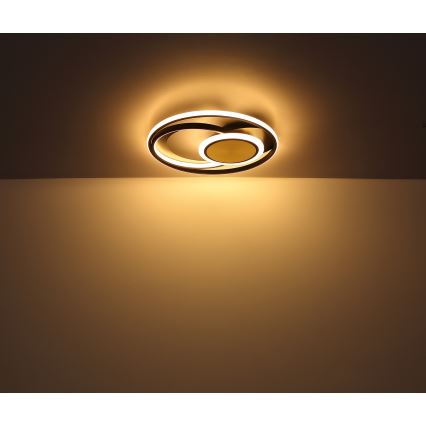 Globo - LED Plafonjera LED/24W/230V