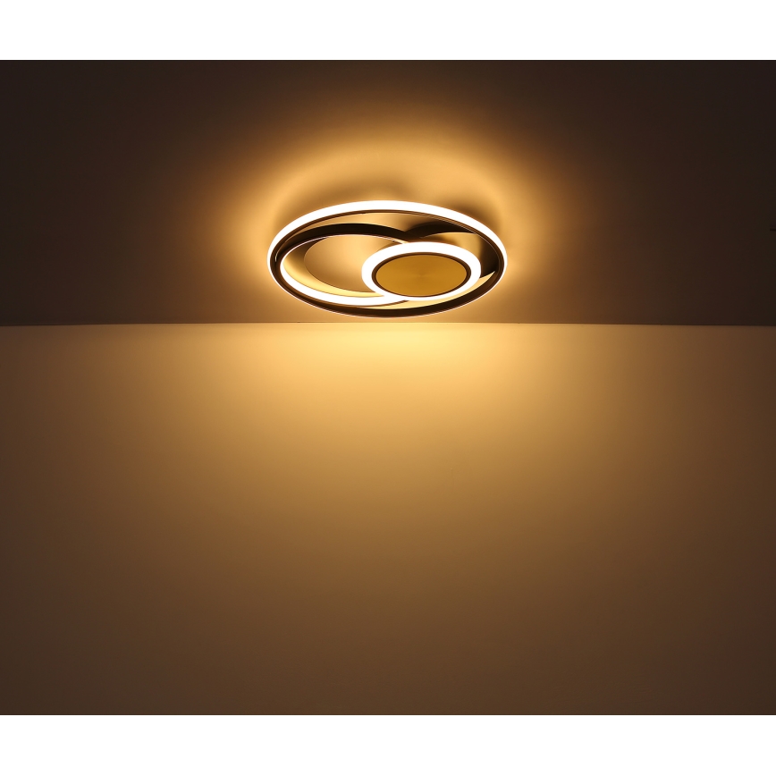 Globo - LED Plafonjera LED/24W/230V