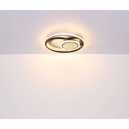 Globo - LED Plafonjera LED/24W/230V