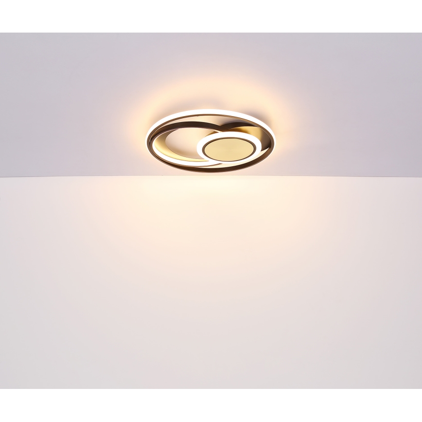 Globo - LED Plafonjera LED/24W/230V