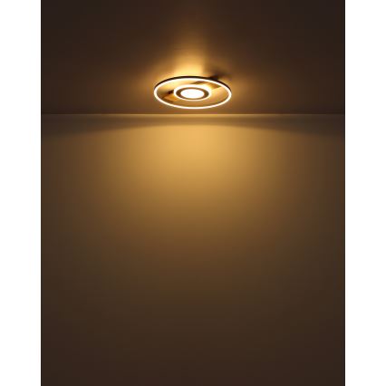 Globo - LED Plafonjera LED/24W/230V