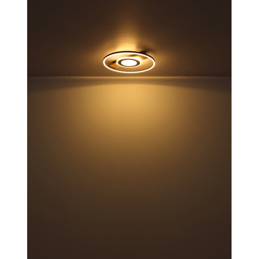Globo - LED Plafonjera LED/24W/230V