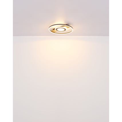 Globo - LED Plafonjera LED/24W/230V