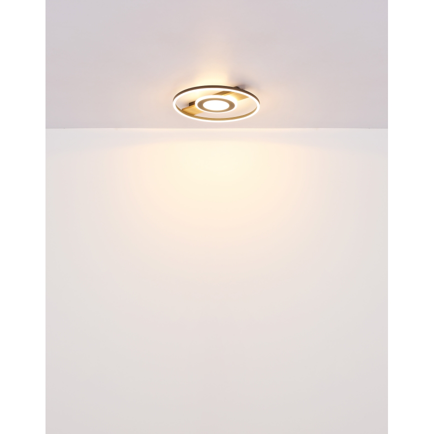 Globo - LED Plafonjera LED/24W/230V