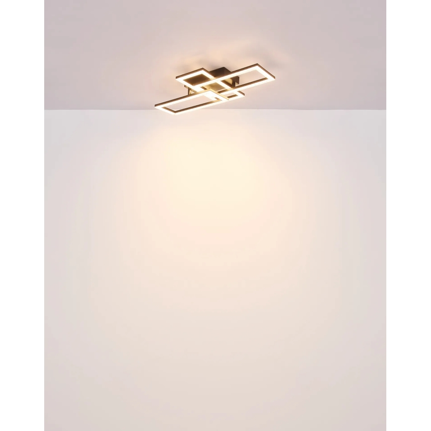 Globo - LED Plafonjera LED/24W/230V