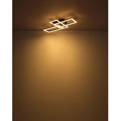 Globo - LED Plafonjera LED/24W/230V