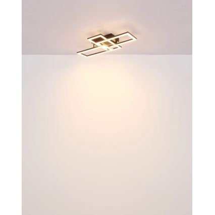 Globo - LED Plafonjera LED/24W/230V