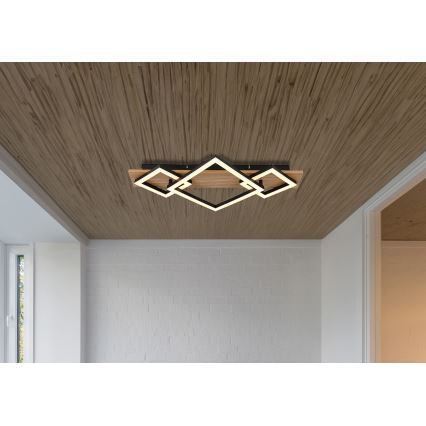 Globo - LED Plafonjera LED/24W/230V