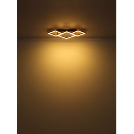 Globo - LED Plafonjera LED/24W/230V
