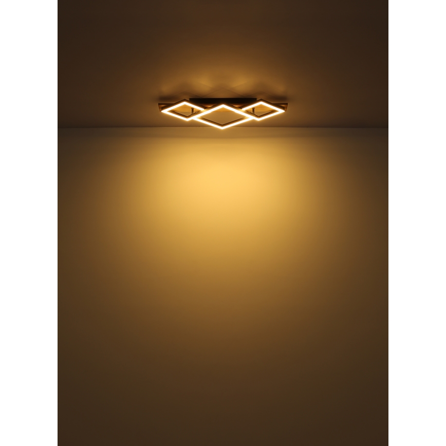 Globo - LED Plafonjera LED/24W/230V