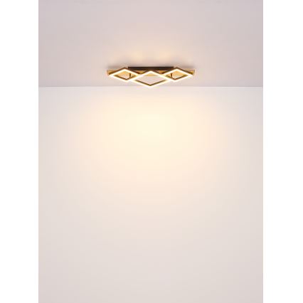 Globo - LED Plafonjera LED/24W/230V
