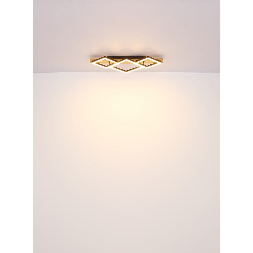 Globo - LED Plafonjera LED/24W/230V