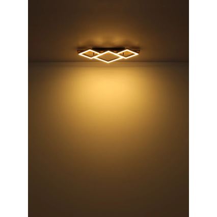 Globo - LED Plafonjera LED/24W/230V