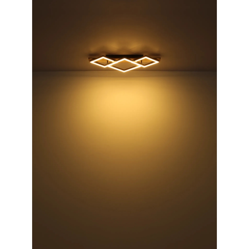 Globo - LED Plafonjera LED/24W/230V