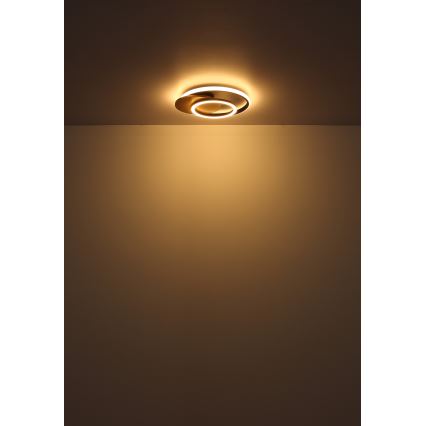 Globo - LED Plafonjera LED/24W/230V crno