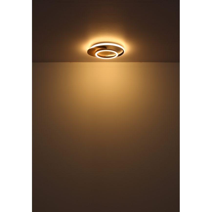 Globo - LED Plafonjera LED/24W/230V crno