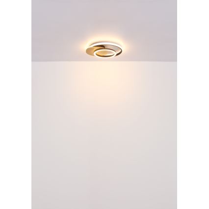 Globo - LED Plafonjera LED/24W/230V crno