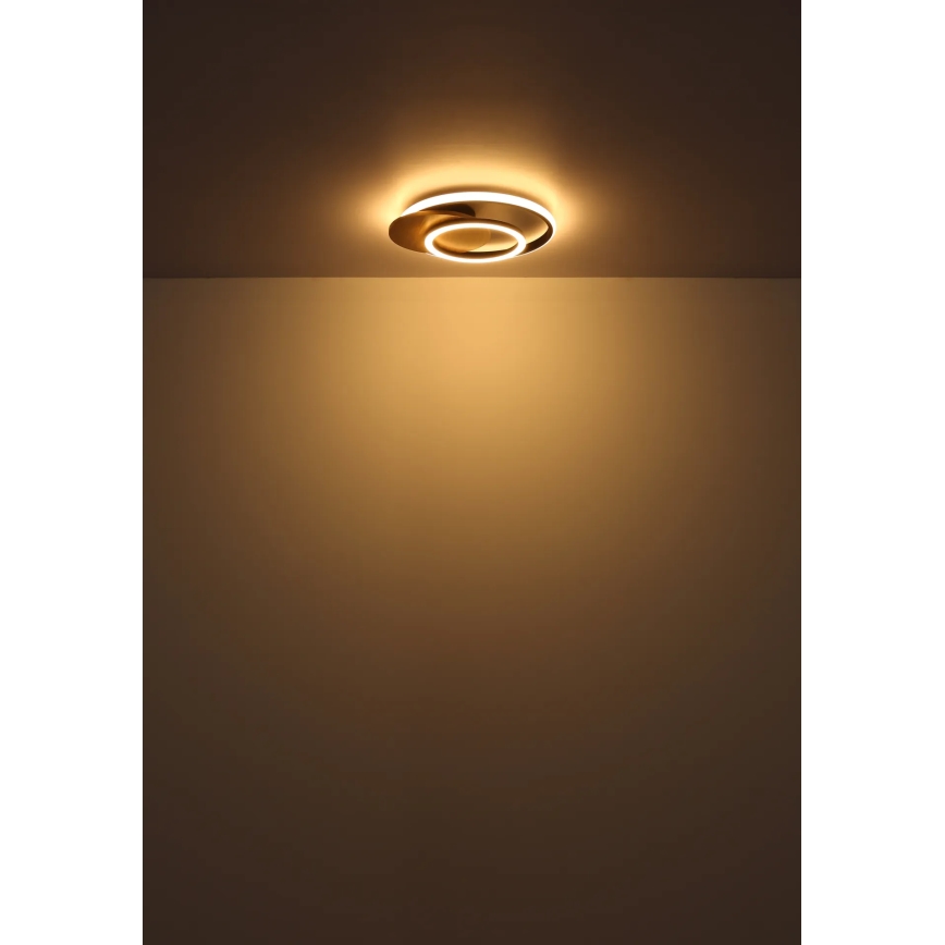 Globo - LED Plafonjera LED/24W/230V