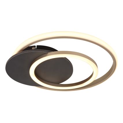 Globo - LED Plafonjera LED/24W/230V