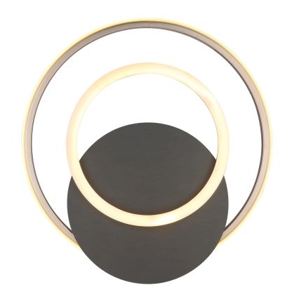 Globo - LED Plafonjera LED/24W/230V