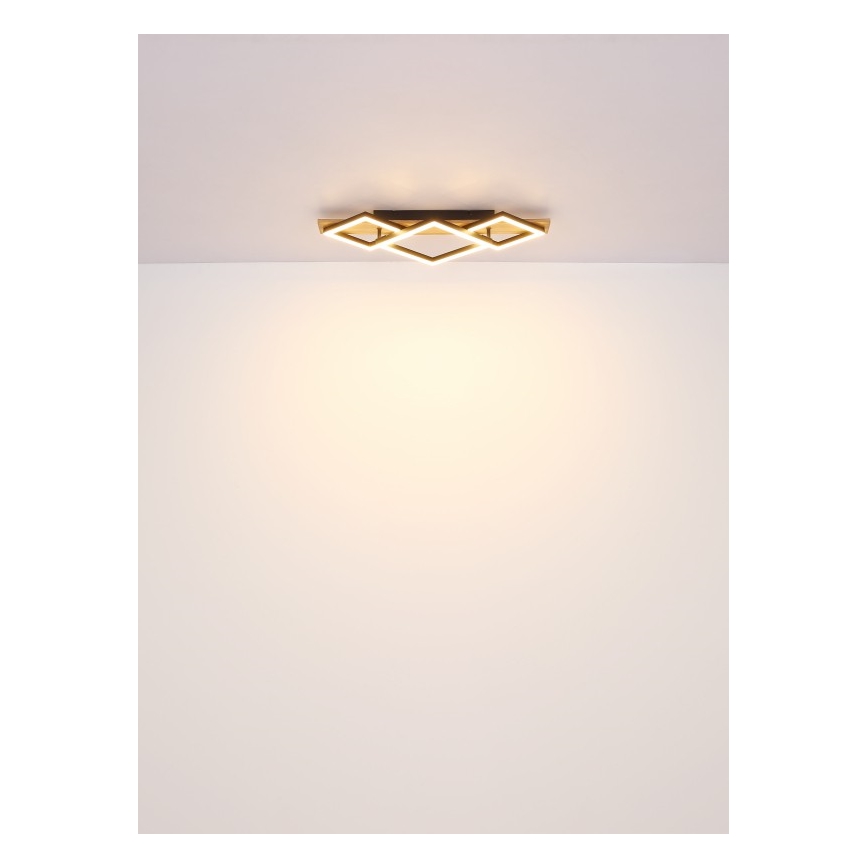 Globo - LED plafonsko svetlo LED/32W/230V 3000K 31x61cm