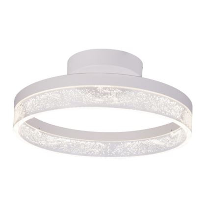 Globo - LED Plafonjera LED/24W/230V