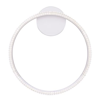 Globo - LED Plafonjera LED/24W/230V