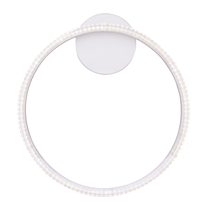 Globo - LED Plafonjera LED/24W/230V