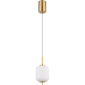 Globo - LED luster na sajli LED/7W/230V