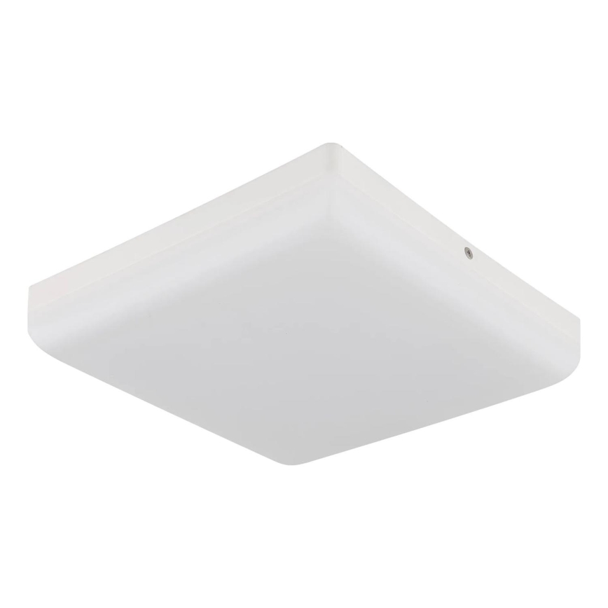 Globo - LED Plafonjera LED/12W/230V 4000K 22x22 cm bela