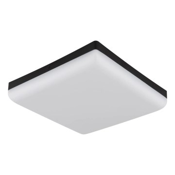 Globo - LED Plafonjera LED/12W/230V 4000K 22x22 cm crno