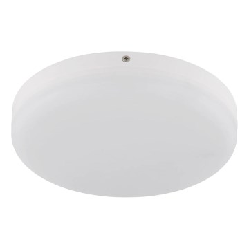 Globo - LED Plafonjera LED/12W/230V 4000K pr. 22 cm bela