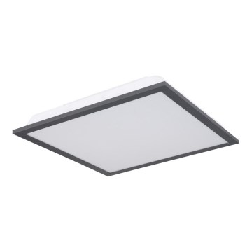 Globo - LED Plafonjera LED/12W/230V