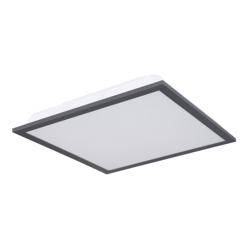 Globo - LED Plafonjera LED/12W/230V