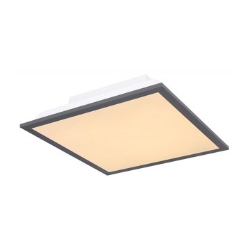 Globo - LED Plafonjera LED/12W + LED/4W/230V